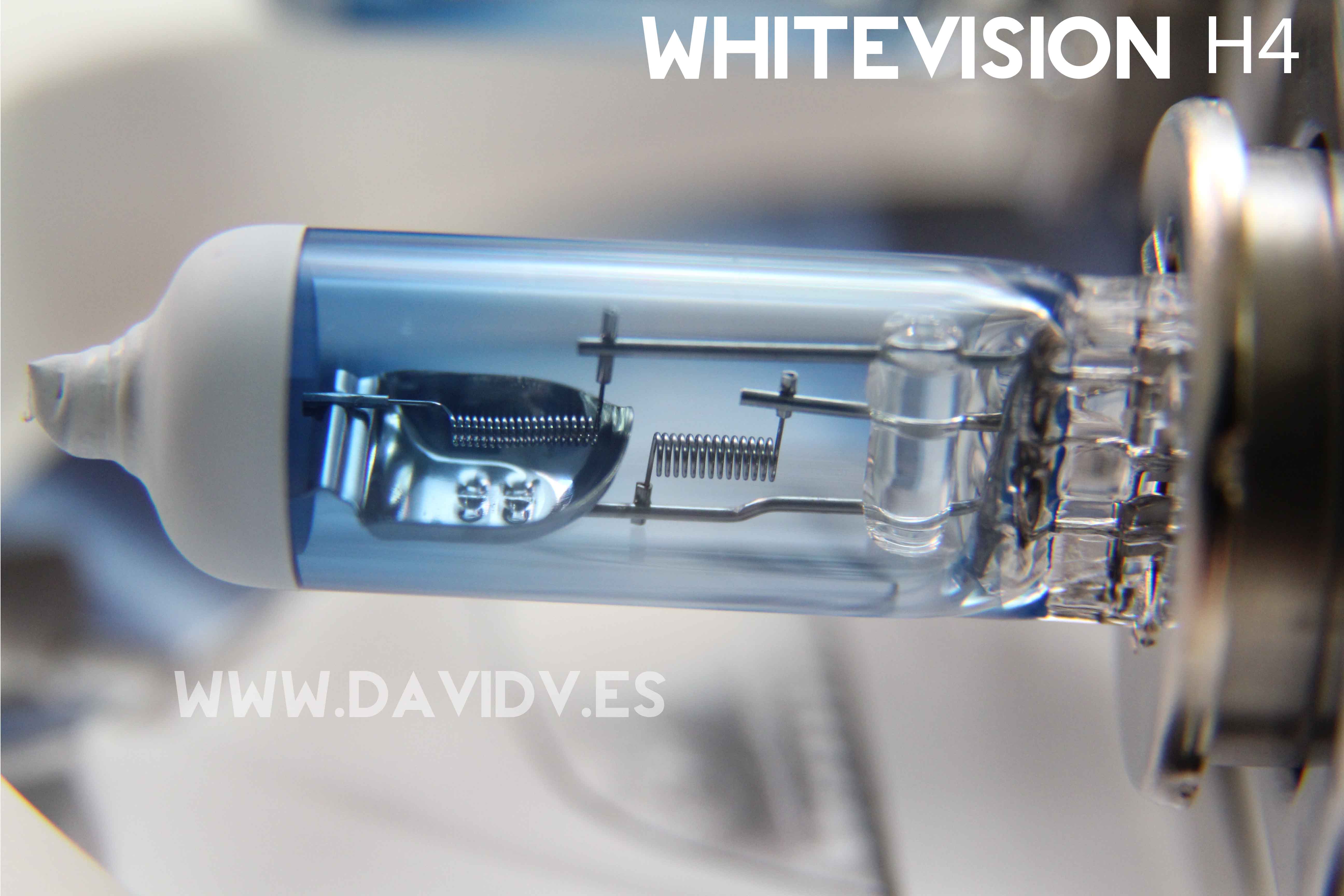 whitevision-macro.jpg